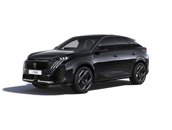 Peugeot Özel Servis